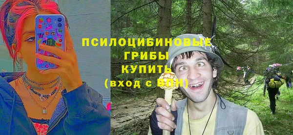 индика Вязьма